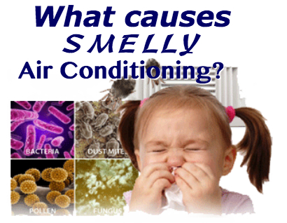 Smelly air conditioner